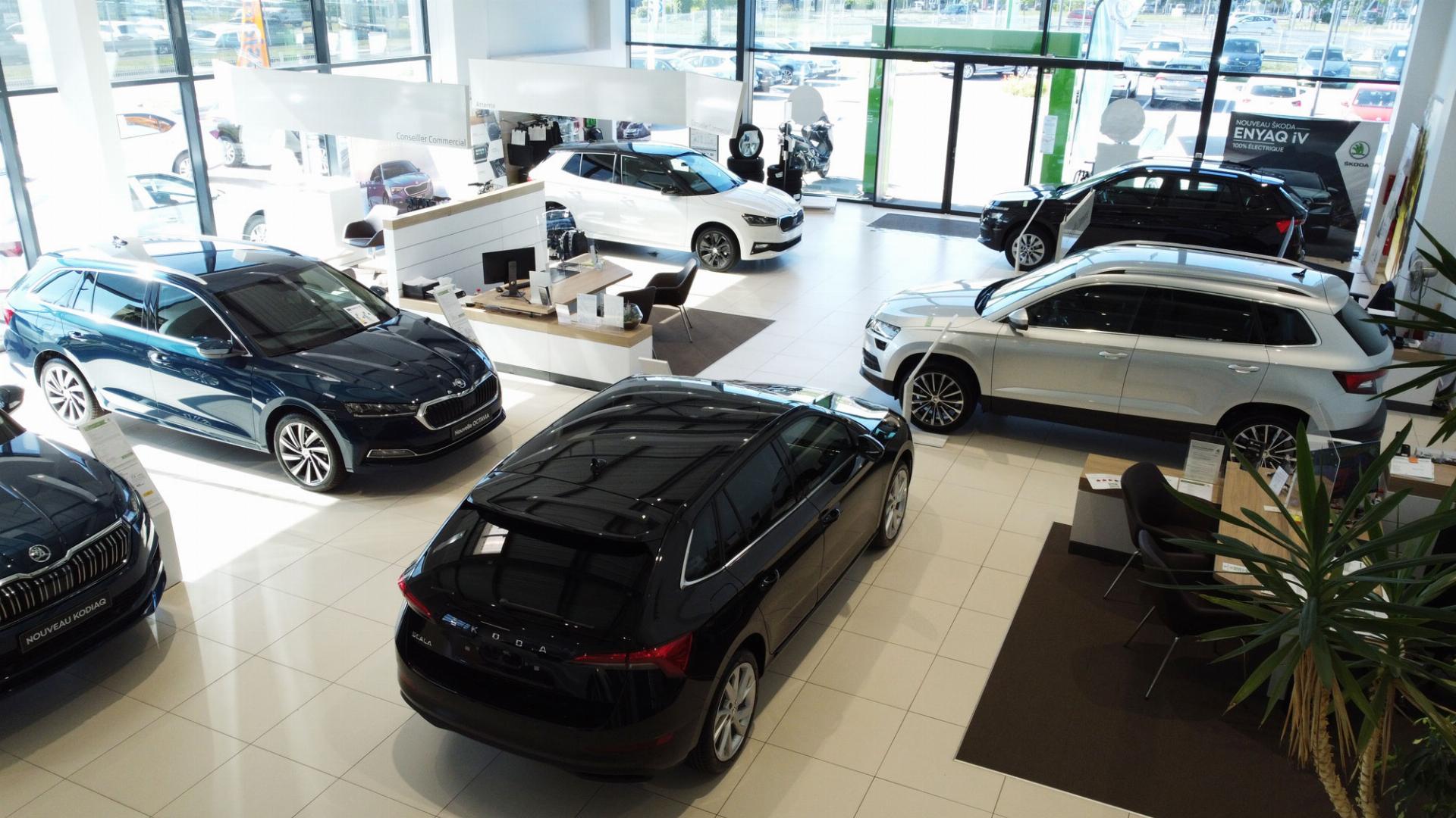 Showroom Škoda