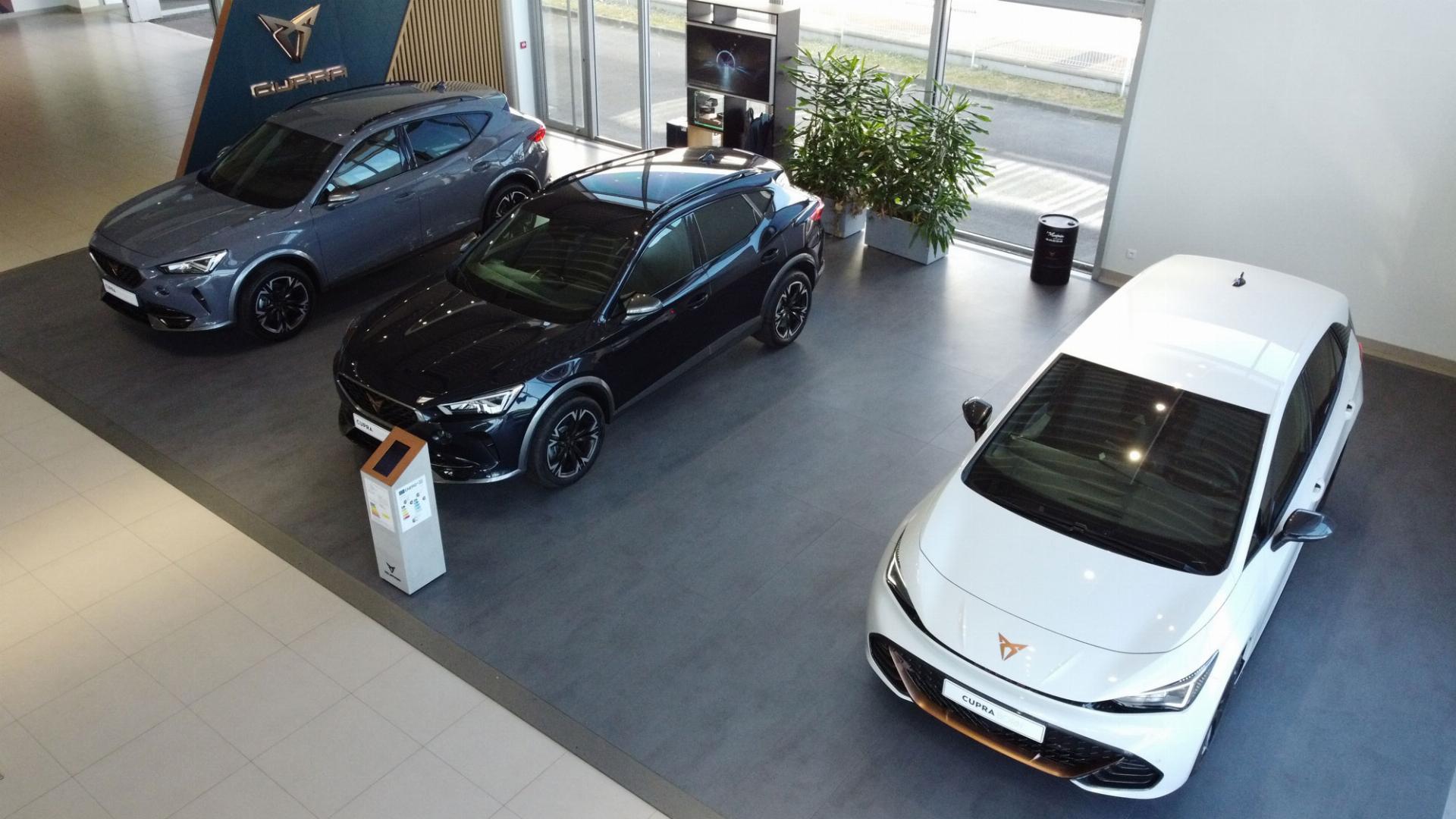 Showroom Cupra